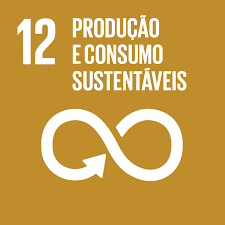 ODS 12 Consumo e Produção Responsáveis